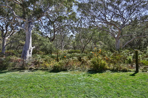 Wildwood I Pet Friendly I 5 Mins To Beach - Sydney Resort 17