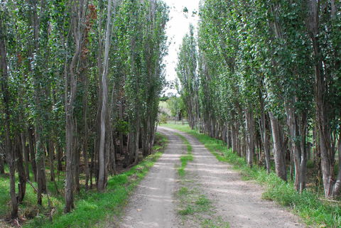 Back Valley Farmstay Bed And Breakfast - Sydney 4u 2