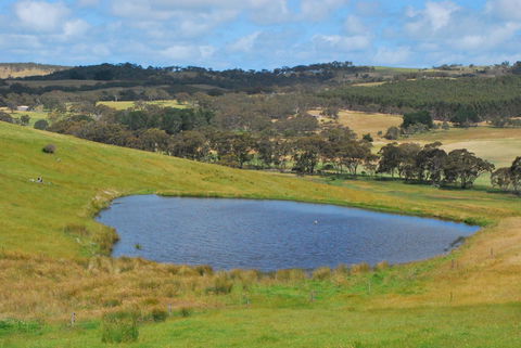 Back Valley Farmstay Bed And Breakfast - Sydney 4u 19