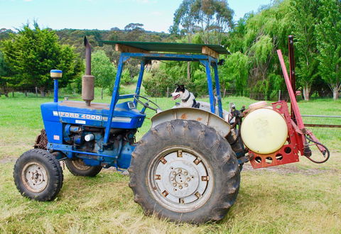 Back Valley Farmstay Bed And Breakfast - Sydney 4u 14
