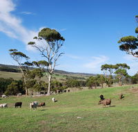 Lisieux Farm Bed and Breakfast - Sydney 4u