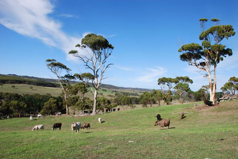 Back Valley Farmstay Bed And Breakfast - Sydney 4u 0