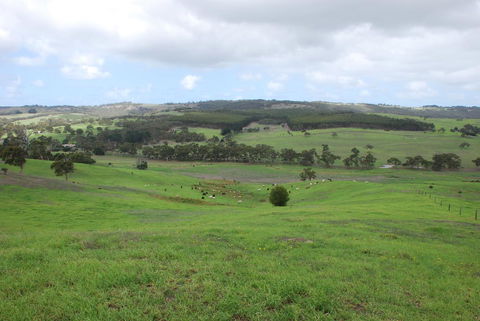 Back Valley Farmstay Bed And Breakfast - Sydney 4u 15