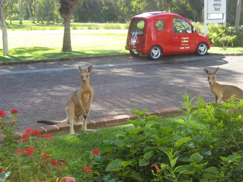 Aston Motel Yamba - Sydney 4u 6