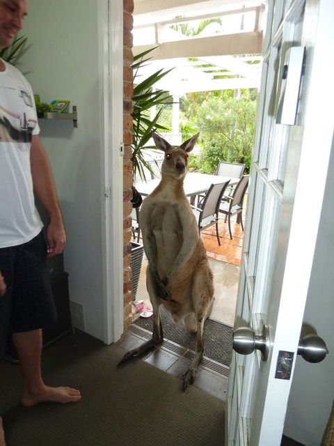 Aston Motel Yamba - Sydney 4u 10