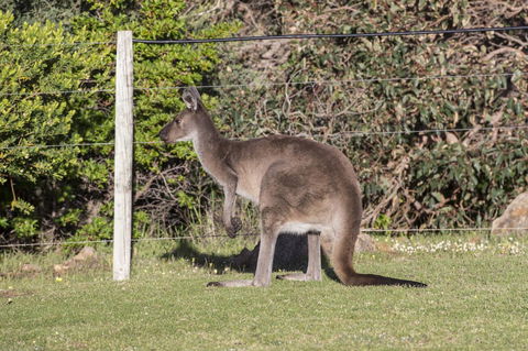 Chandlers Smiths Beach Villas - Sydney 4u 15