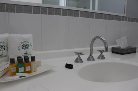 Karri Forest Motel - Sydney 4u 41