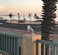 Shark Bay Seafront Apartments - Accommodation Sydney