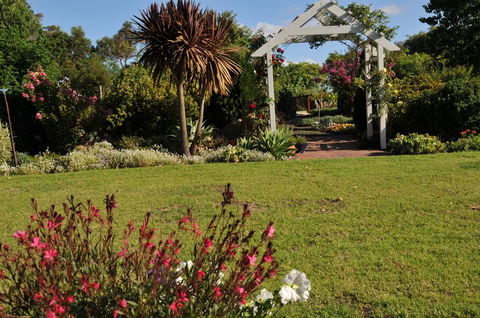 Glenelg On King Bed & Breakfast - Sydney 4u 16
