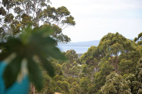 The Floating Forest - Sydney 4u 8