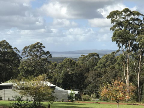The Floating Forest - Sydney 4u 2