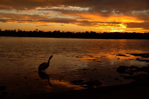Dungowan Holiday Accommodation - Sydney 4u 31