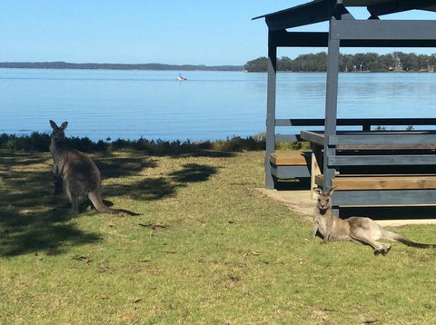 Dungowan Holiday Accommodation - Sydney 4u 33