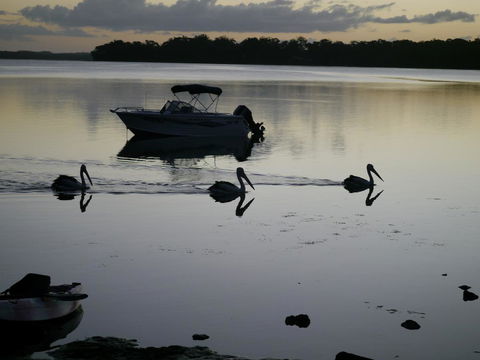 Dungowan Holiday Accommodation - Sydney 4u 41