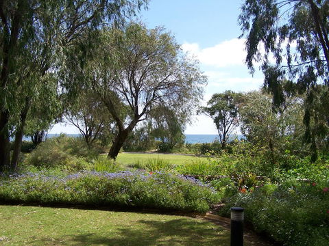 Cape View Beach Resort - Sydney 4u 40