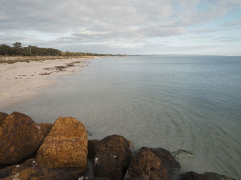 FortyOne - Oceanside Retreat Busselton - Accommodation Sydney 1
