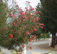 The Heights Bed  Breakfast - Sydney 4u