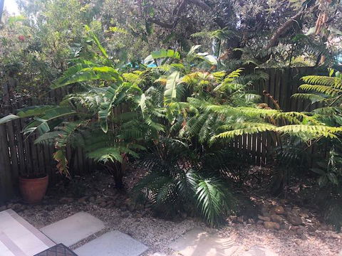 East On Byron - Accommodation Sydney 40