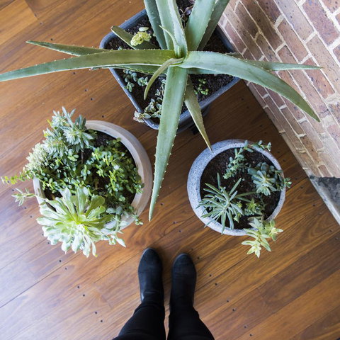 The Parkview Hotel Mudgee - Sydney Resort 33