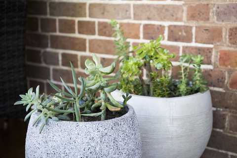 The Parkview Hotel Mudgee - Sydney Resort 34