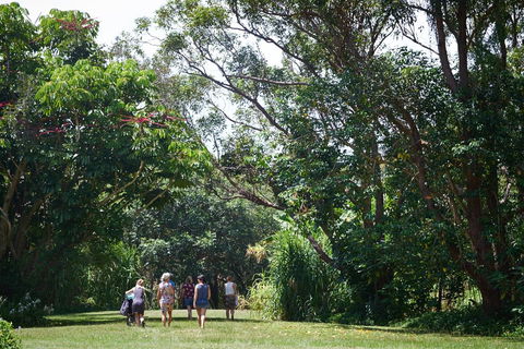 Ingenia Holidays Byron Bay - Sydney 4u 11