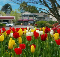 Nesuto Leura Gardens formerly Waldorf Leura Gardens Resort - Accommodation Sydney