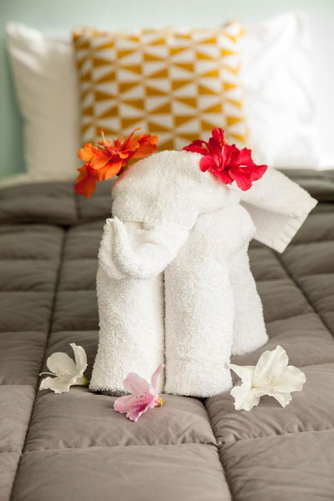 Kempsey Rose Motor Inn - Sydney 4u 17