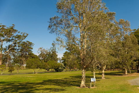 Kempsey Rose Motor Inn - Sydney 4u 32