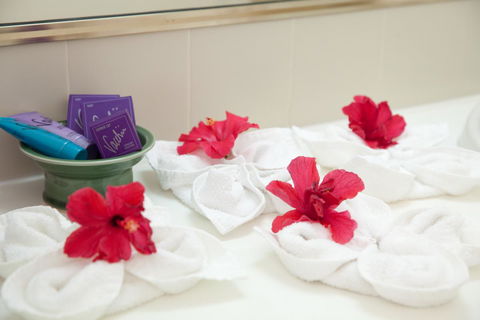 Kempsey Rose Motor Inn - Sydney 4u 14