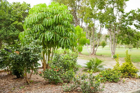 Kempsey Rose Motor Inn - Sydney 4u 42