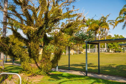 Kempsey Rose Motor Inn - Sydney 4u 41