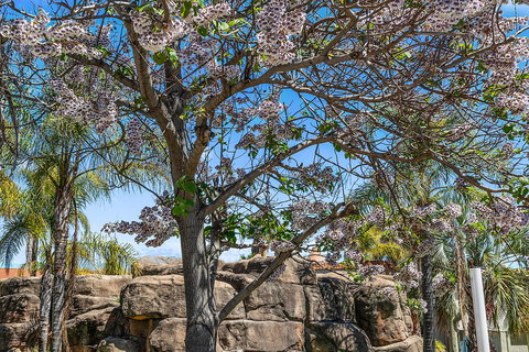 Quality Resort Siesta - Accommodation Sydney 2