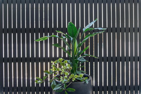 Quality Resort Siesta - Accommodation Sydney 8