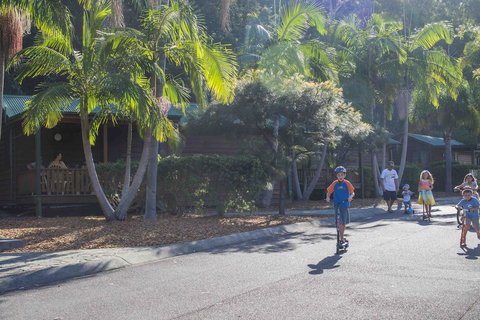 The Palms At Avoca - Accommodation Sydney 14