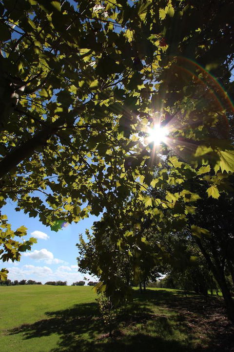 Crowne Plaza Hawkesbury Valley, An IHG Hotel - Sydney 4u 43