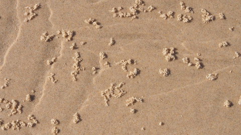 Bundle Hill Cottages - Sydney Resort 4