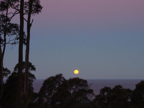 Bundle Hill Cottages - Sydney Resort 36