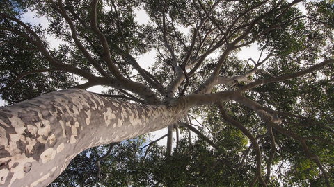 Bundle Hill Cottages - Sydney Resort 20