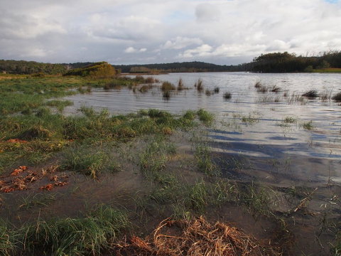Bundle Hill Cottages - Sydney Resort 31