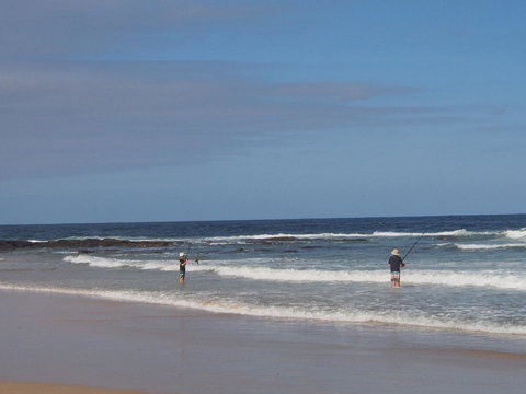 Bundle Hill Cottages - Sydney Resort 10