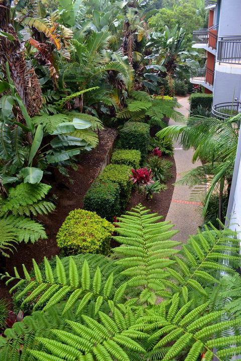 Flynns Beach Resort - Sydney 4u 17