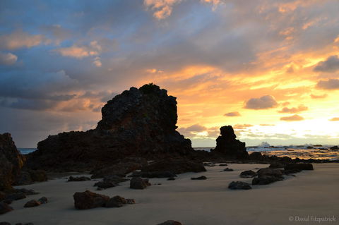 Flynns Beach Resort - Sydney 4u 19