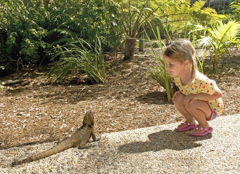Flynns Beach Resort - Sydney 4u 16