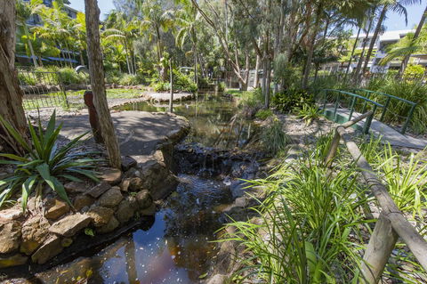 Flynns Beach Resort - Sydney 4u 13