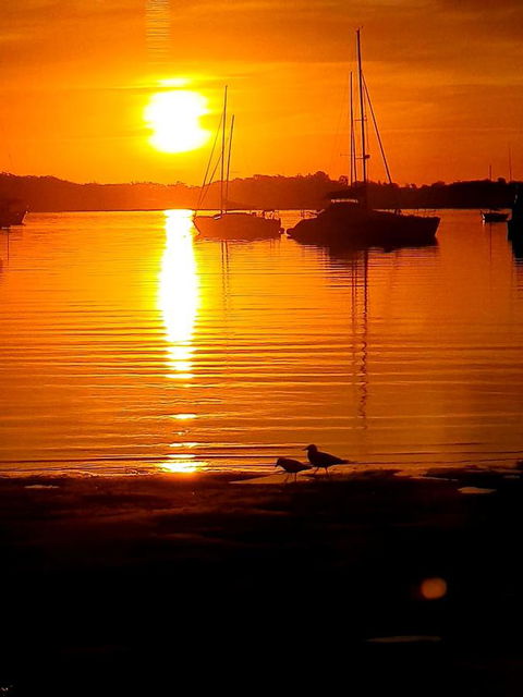 Marina Resort - Sydney 4u 3