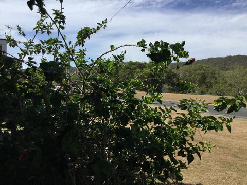 Hat Head Beach Cottage 1 - Accommodation Sydney 2