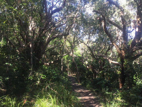 Hat Head Beach Cottage 1 - Accommodation Sydney 24
