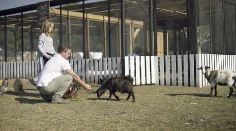 The Woods Farm Jervis Bay - Sydney 4u 14