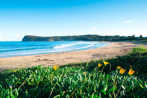 Copacabana Shores - Sydney 4u 2