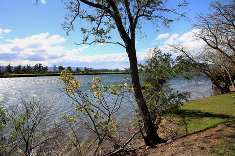 Terara Riverside Retreat - Sydney 4u 27
